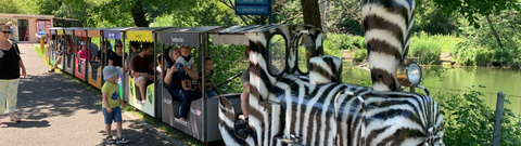 Seeteufel_Bähnli 32zu9 Seeteufel_Bähnli 32zu9