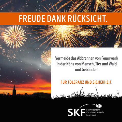 Feuerwerk - Freude dank Rücksicht Feuerwerk - Freude dank Rücksicht