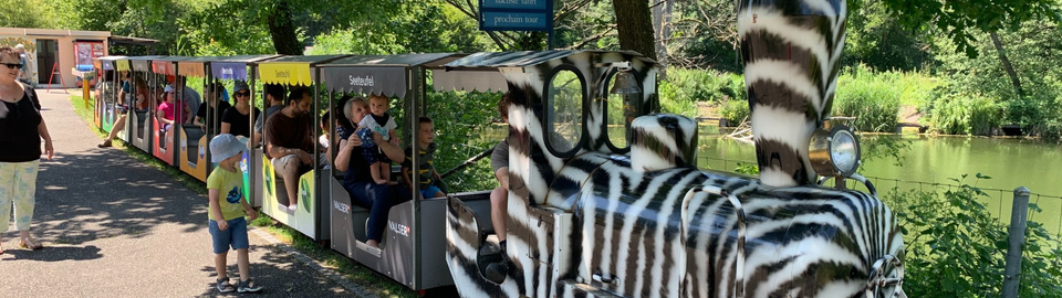 Seeteufel_Bähnli 32zu9 Seeteufel_Bähnli 32zu9