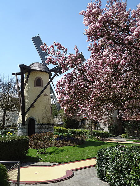 Florida-Minigolf-Windrad mit Baum Florida-Minigolf-Windrad mit Baum