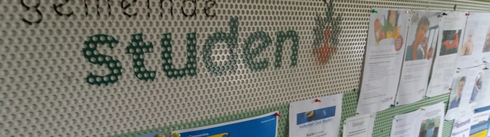 Anschlagbrett_32zu9 Anschlagbrett_32zu9