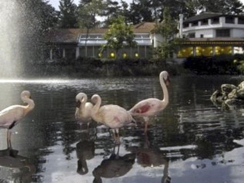 Restaurant-Pink-Flamingos